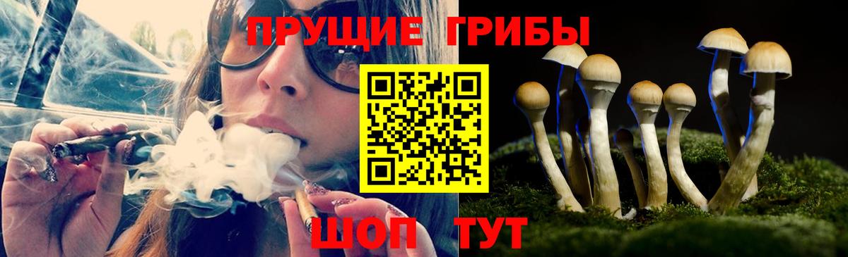 Псилоцибиновые грибы MAGIC MUSHROOMS  Вход с VPN  Иркутск 