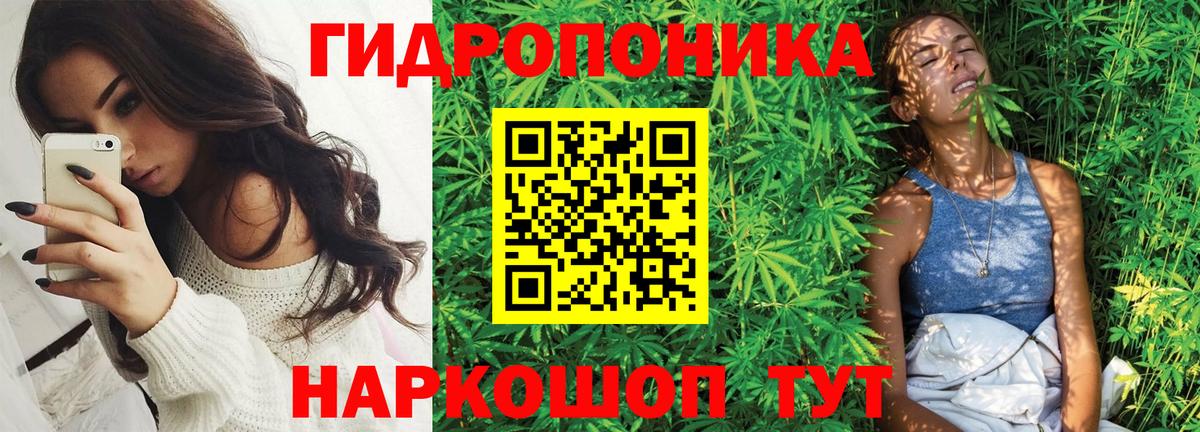 Бошки марихуана Ganja Иркутск